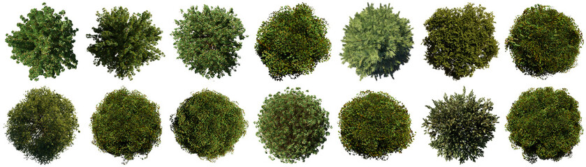 Diverse collection of green trees and bushes from an aerial top-down view. © Xu