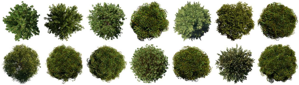 Diverse collection of green trees and bushes from an aerial top-down view.