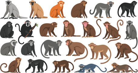 Fototapeta premium Primate Vector Collection with Monkeys, Chimpanzees, Gorillas, and Apes in Sitting, Standing, and Walking Poses for Digital, Educational, Wildlife, and Nature Illustration Projects