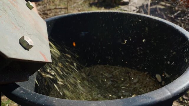 Wood chipper nozzle ejecting sawdust while processing pruned tree branches close-up slow motion