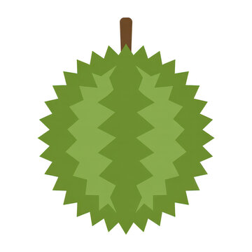 Durian fruit illustration