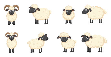 Fototapeta premium Adorable fluffy sheep and ram collection featuring various poses perfect for childrens books farm animal themed projects or agricultural educational materials