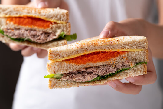 Healthy toasted whole wheat sandwich filled with tuna, Ebiko (Capelin roe), cheese, and fresh lettuce holding by hand and eating