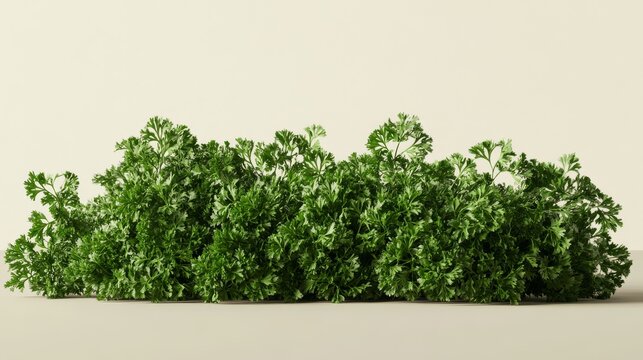 Realistic render of dry parsley leaf clusters in an uneven heap, shadows cast naturally to emphasize form and separation from background