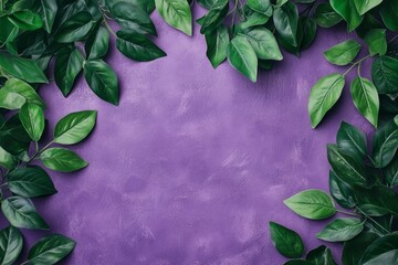Fototapeta premium Green leaves framing purple textured background with copy space