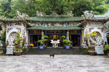 A dog stands before the ornate, historic, Buddhist, Temple, a popular tourist destination in The Marble Mountains, Da Nang, Vietnam. The temple is known for it's architecture. © Zenstratus