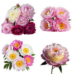 Naklejka premium Bouquets of beautiful pink and white peonies