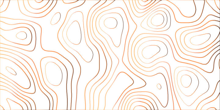 Topographic canyon geometric map relief texture with curved layers and shadow .Abstract geometric topographic contour map background. Panorama view gradient multicolor wave curve