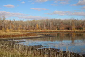 Fototapeta premium Autumn On The Water, Elk Island National Park, Alberta
