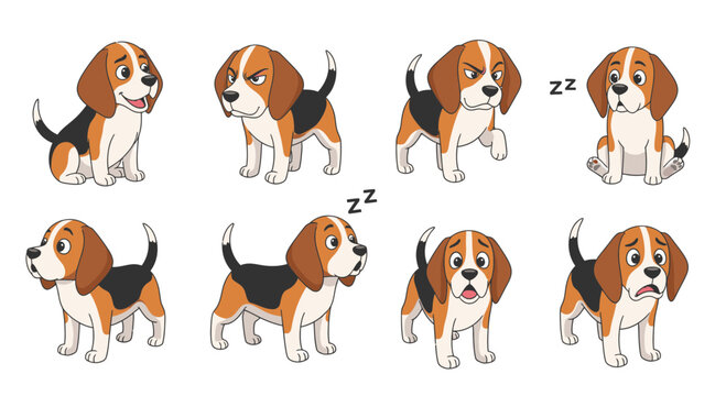 Cute beagle dog in various poses including playful and sleeping  