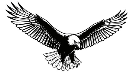 Obraz premium Bald eagle in flight, wings spread wide