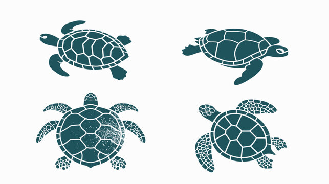 Four sea turtles in a square formation. Simple, clean vector art on white background