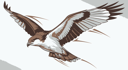 Fototapeta premium brown and white bird of prey in flight