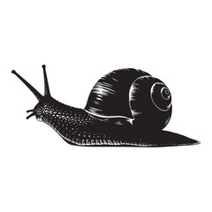 Detailed black snail illustration with shell on transparent background © kazi