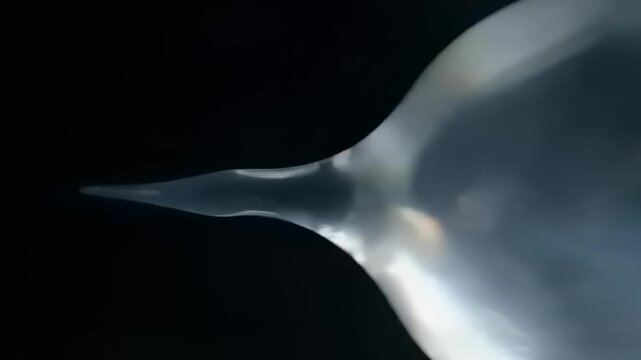 Close up of a soap bubble.