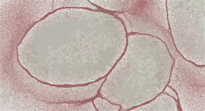 Ilustra&ccedil;&atilde;o cient&iacute;fica de microrganismos celulares em close-up mostrando a estrutura da membrana plasm&aacute;tica e citoplasma em tons neutros.