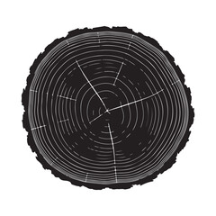 Fototapeta premium Tree trunk cross-section with annual rings and cracks silhouette