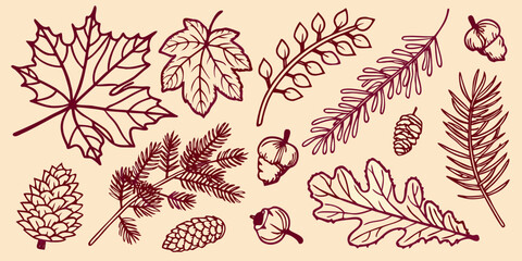 Autumn leaves and coniferous branches illustrated in a dark silhouette © NaderAli