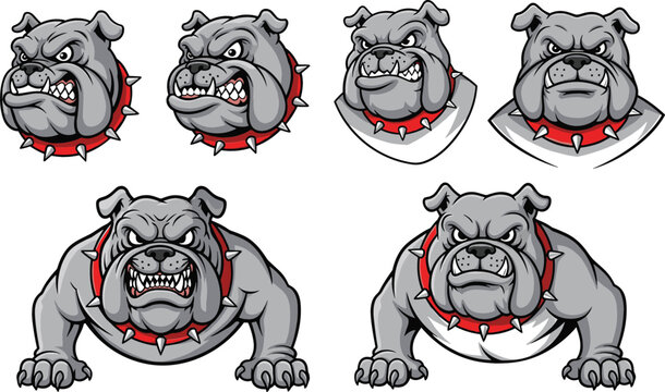 Aggressive bulldog mascot illustration set featuring fierce expressions, spiked collar, and strong character poses in bold cartoon vector style