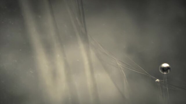 Abstract futuristic neurons creating a complex web of neural pathways and connections, representing technology, communication, and artificial intelligence in a microscopic digital environment