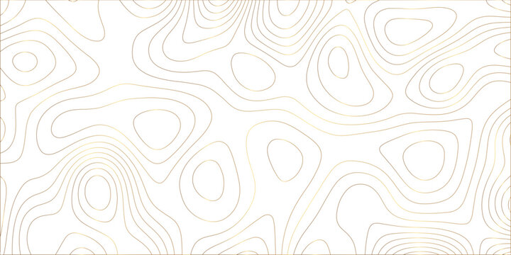 Abstract white golden gradient Topographic line map pattern background. Contour elevation topographic and textured Background Modern design with White background with topographic wavy patte. 