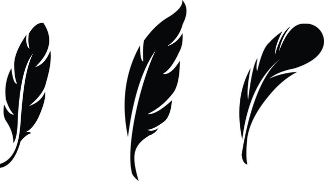 Three black feather silhouettes on a white background
