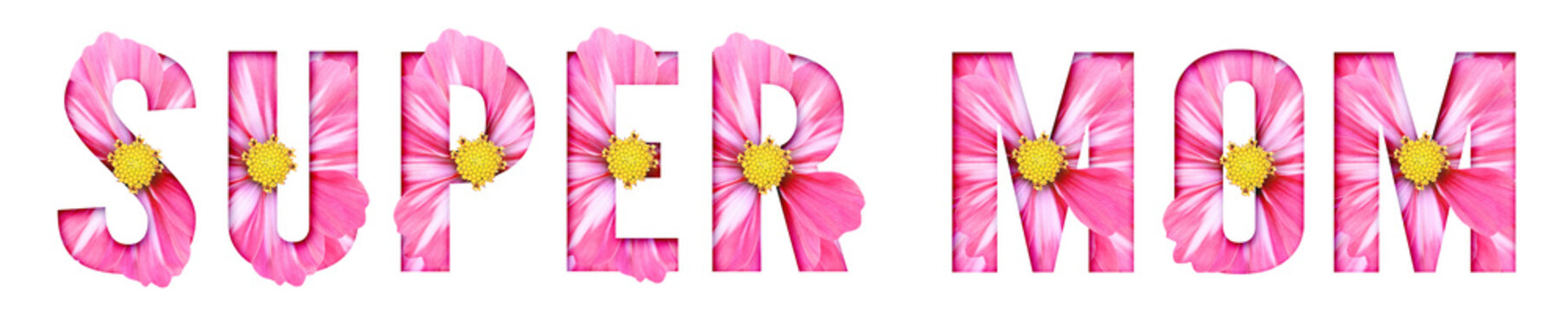 Pink Cosmos Flower Super Mom Floral Typography Word Art High Resolution PNG