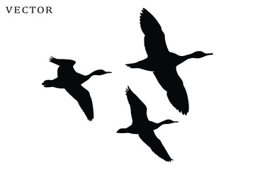 Obraz premium Canadian goose bird flying silhouette vector, Goose bird silhouette vector illustration