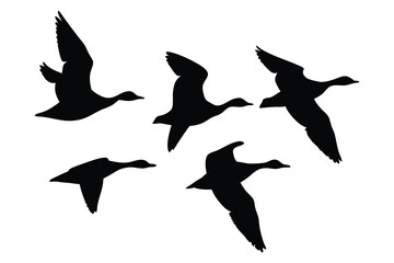 Obraz premium Canadian goose bird flying silhouette vector, Goose bird silhouette vector illustration