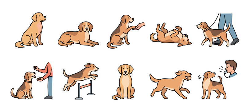Collection of cute cartoon dog illustrations showing various training activities like sitting, walking on a leash, jumping agility hurdles, and following commands for obedience