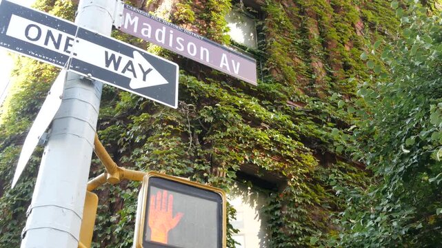 New York City townhouse buildings, brownstone row houses corner in Manhattan, United States of America. Classic building, residential district street. Rowhouse townhome. Green wall garden.
