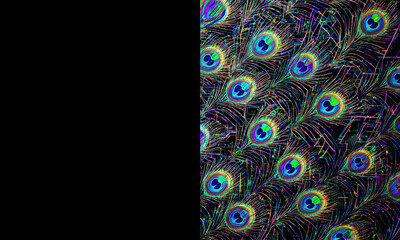 Obraz premium Peacock feather pattern with iridescent jewel toned design and black copy space creating an elegant and exotic background