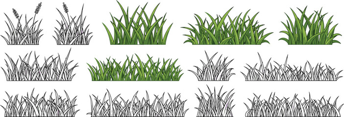 Grass and plants vector collection featuring green foliage patches and hand drawn black outline grass elements isolated on white background © Momota