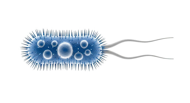 3D Illustration of a Bacterium with Flagella and Pili
