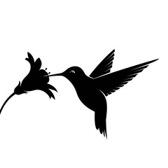 Obraz premium Delicate Silhouette of a Tiny Hummingbird Sipping Nectar Fast Wings Wildlife Theme