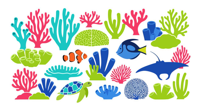 Colorful Coral Reef Fish Marine Life.