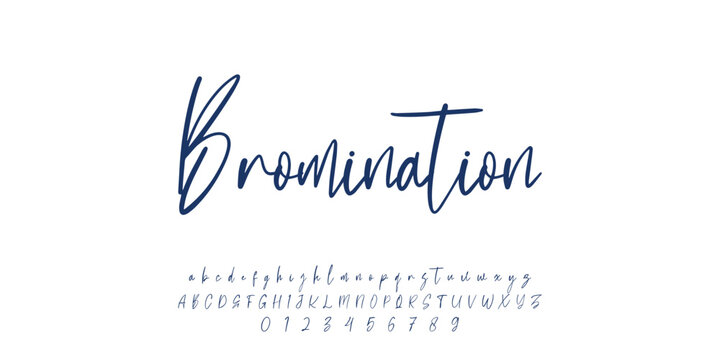 Handwrite signature font Calligraphy Logotype Script Brush Font Type Font lettering handwritten.