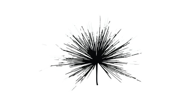 Abstract black ink splash resembling a starburst or dandelion seed head against a white background.