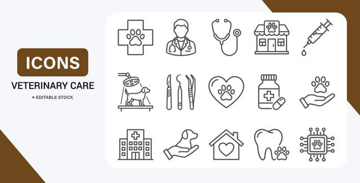 Veterinary Care Icon Set &ndash; Vector Collection of Vet Doctors, Pet Exams, Animal Health Services & Clinic Tools