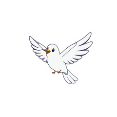 Fototapeta premium A white dove in flight with outstretched wings on transparent background