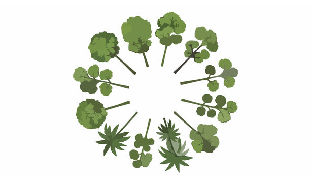 Modern landscape trees top view icons in circular layout with canopy elements for garden and site design plans