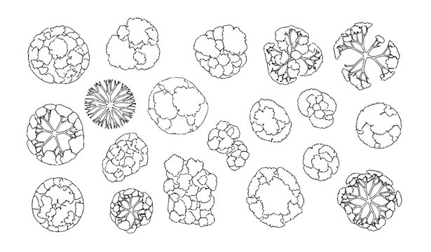 Minimal landscape trees top view vector set with canopy elements for garden layout and site planning design