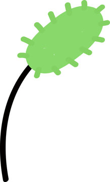 dog grass plant
