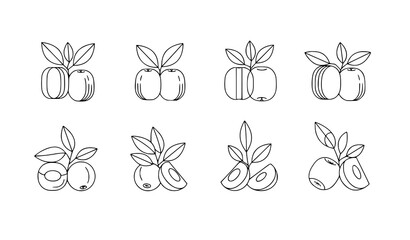 Modern geometric jujube fruit vector illustration abstract berry shapes minimalist line art design © Hazara