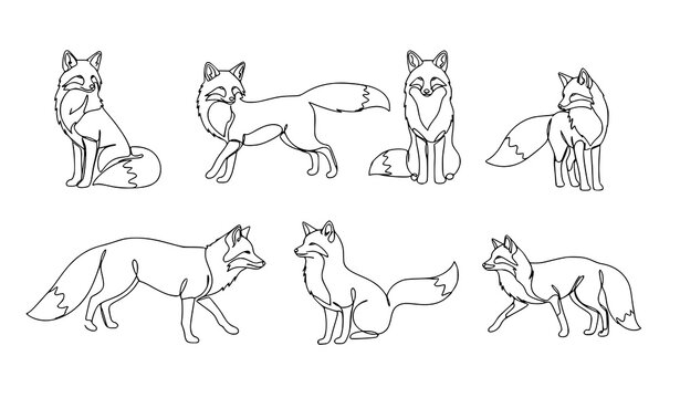 Continuous line fox vector set monoline wildlife animal illustration elegant minimalist design