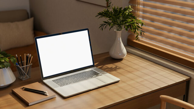 White screen laptop with books and potted plant on wooden table with sunlight through window blinds.
