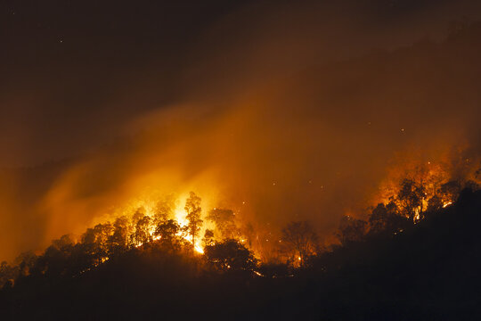 Devastating wildfire causes heavy smoke pollution over dark forest at night. Blazing flame creating terrible natural disaster and burning nature hazard threatening local environment