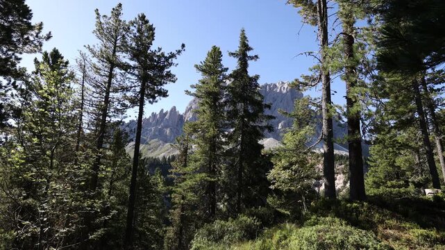Stunning view of Peitlerkofel mountain from Passo delle Erbe in Dolomites, Italy. View of Sass de Putia (Peitlerkofel) at Passo delle Erbe. Dolomites. South Tyrol. Italy