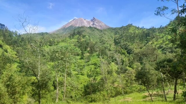 Green hill with mountain background in central java
