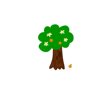 orange tree with white flower
